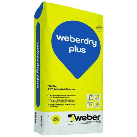 WEBER SAINT GOBAIN Accélérateur de prise béton 20L, Weberad antigel liquide à incorporer aux ciments, bétons et enduits par temps froid, WEBER