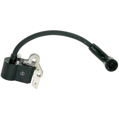 Accensione elettronica decespugliatore Alpina TB27 originale