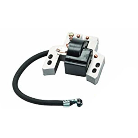 Accensione elettronica motore Briggs&Stratton 2T Quantum Power, Intek compatibile