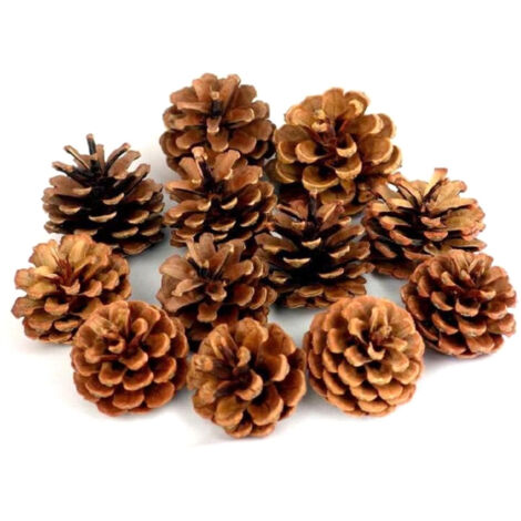 Accessoires de décoration pour sapin de Noël : pommes de pin naturelles, petites pommes de pin séchées, ornements de fleurs séchées, accessoires de décoration photographique, pommes de pin séchées nat