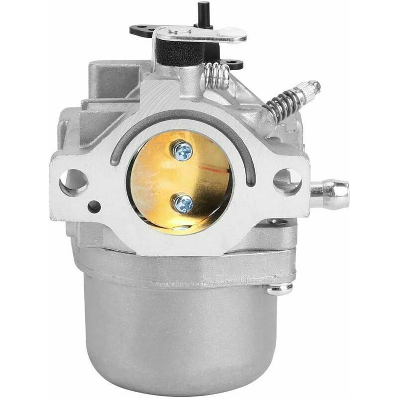 Accessoires de Jardin de Remplacement de carburateur adaptés pour Briggs Stratton 799728 498027 12 HP 12.5 HP