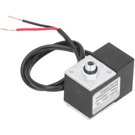 Accessoires de pompe de compresseur d'air en laiton électrique d'électrovanne retardée AC/DC 220V.