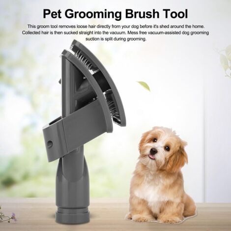 Accessoires de Toilettage Compatibles avec les Aspirateurs Dyson V11, V10, V8, V7 et V6 : Brosse de Toilettage pour Chiens, Brosse de Nettoyage pour Animaux, Brosse à Poils de Poil