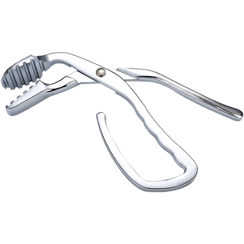 Accessoires pour Barbecue, élévateur de Grille de Gril en Acier Inoxydable pour Barbecue Pince à Charbon de Bois pour Barbecue