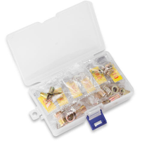 accessoires pour riveteuse : mandrin fileté, adaptateur d'outil pour écrou de rivet, tige de traction, têtes de rivetage de rechange et 30 écrous.
