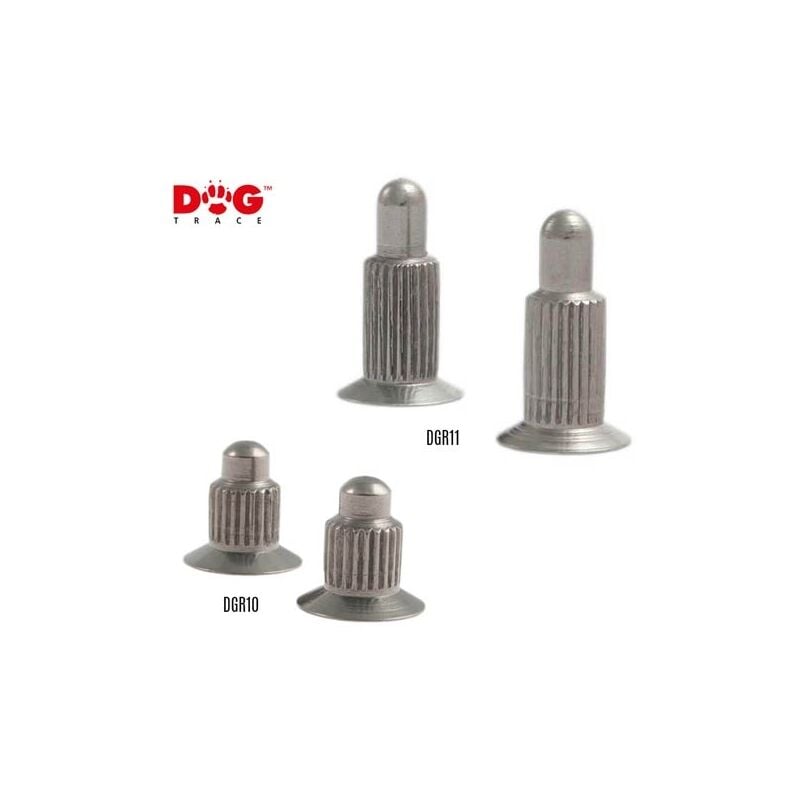 Ibanez - Accessori per apparecchiature Dogtrace