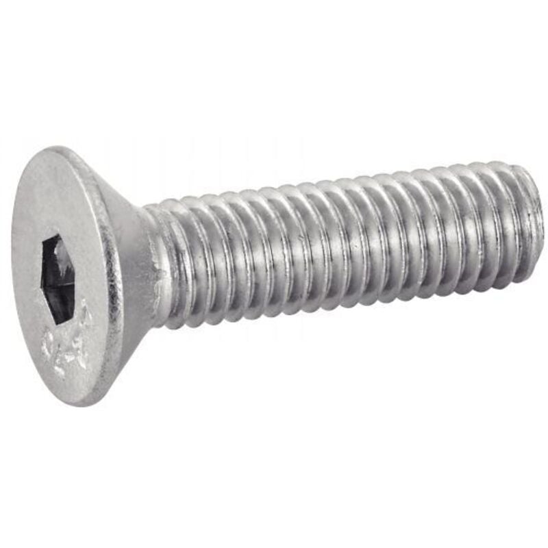 Vite a testa svasata a brugola - Acciaio inossidabile A2 5x30 mm - Confezione da 200