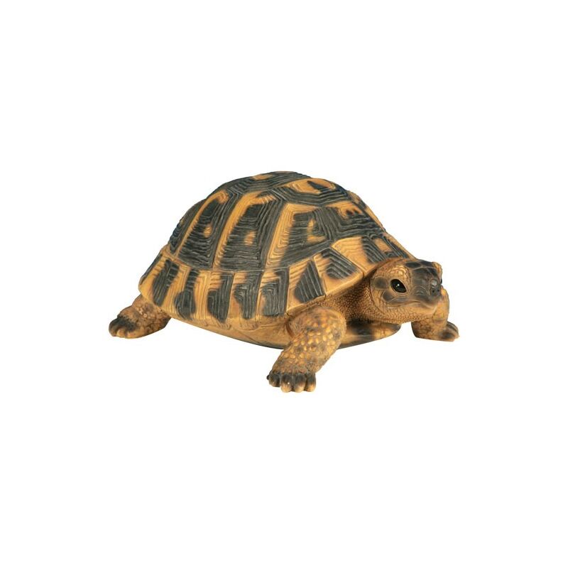 Riviera - Tortue Hermann gm 24 cm