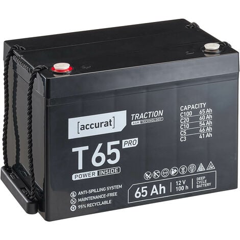 Accurat Traction T55 Pro 12V AGM Batterie de plomb 55Ah