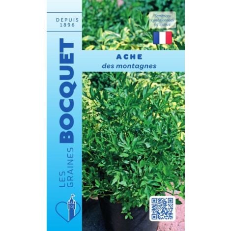 Ache de montagne, céleri perpétuel - 0,5g