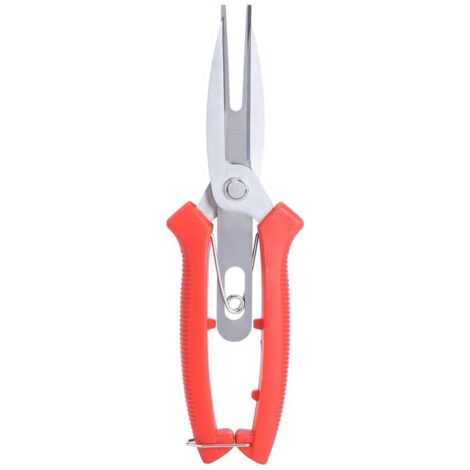 Acier Inoxydable Forge Pommier Poirier Ciseaux Double Bouche Ciseaux Jardinage Coupe Ciseaux élagage Outils agricoles Fleur éclaircie Fruits sécateur