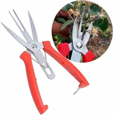 Acier Inoxydable Forge Pommier Poirier Ciseaux Double Bouche Ciseaux Jardinage Coupe Ciseaux élagage Outils agricoles Fleur éclaircie Fruits sécateur-LIAIKI