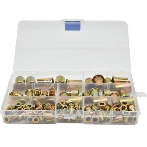 Acier Rivet Rivets Inserts éCrous - Assortiment Inoxydable éCrou Outil Plat D'éCrous Aveugles Ensemble Capuchons Carbone Galvanisé Filetage TêTe Plate Avec BoîTe Rangement M3 M4 M5 M6 M8 100 PièCes