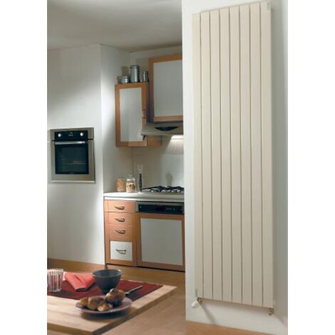 Radiateur eau chaude Acova Filin vertical double noir 1508W