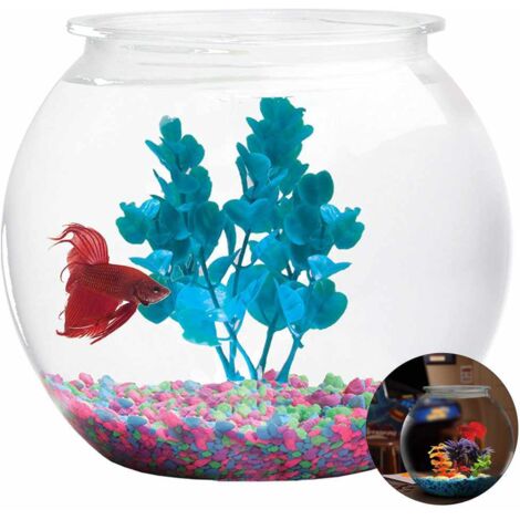 Acquario in plastica trasparente infrangibile da 2,1 galloni