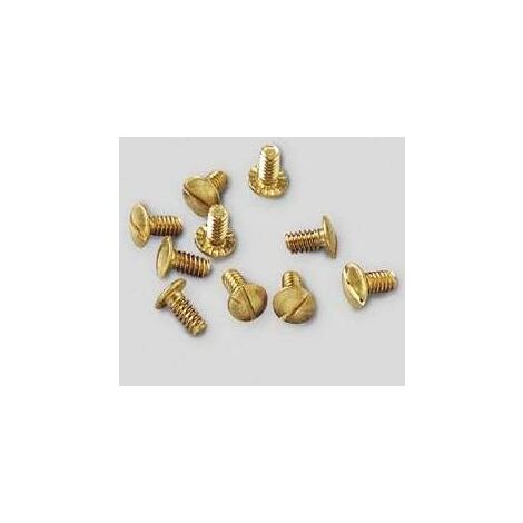 Acquastilla 110363 Vite per Vitoni, Multicolore, Set di 10 Pezzi