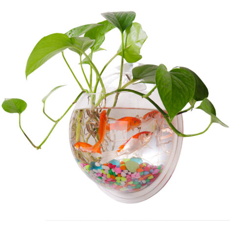 Acrylglas-Wandaquarium, dekoratives Hänge-Aquarium