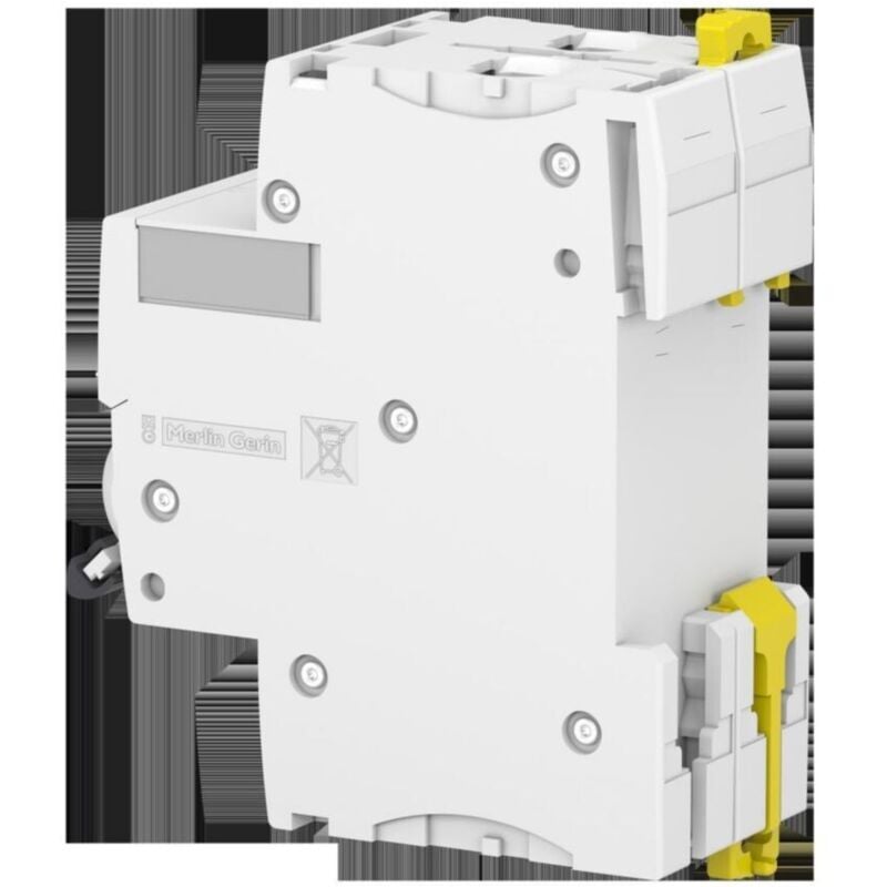 Schneider Electric - Acti9, iC60N disjoncteur 2P 25A courbe c - A9F77225
