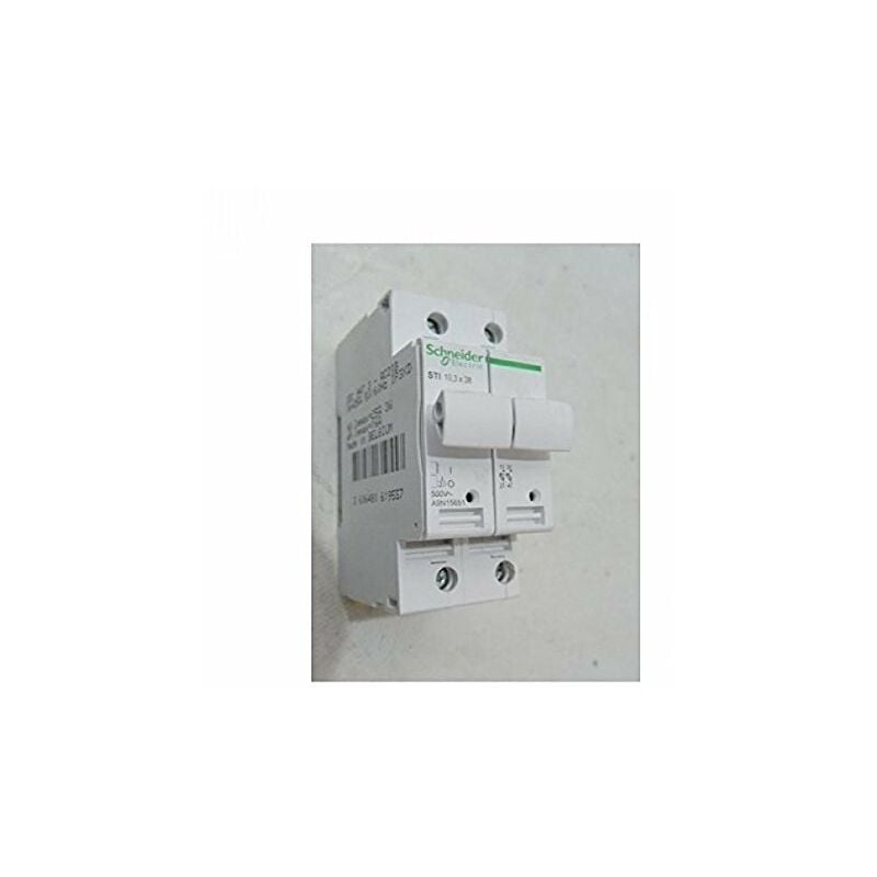 Schneider Electric - A9 N15651 téléphones sti 2P 500 v A9N15651