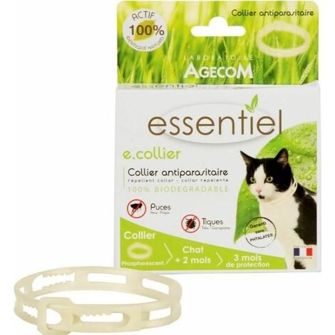 Actiplant' collier phospho chat