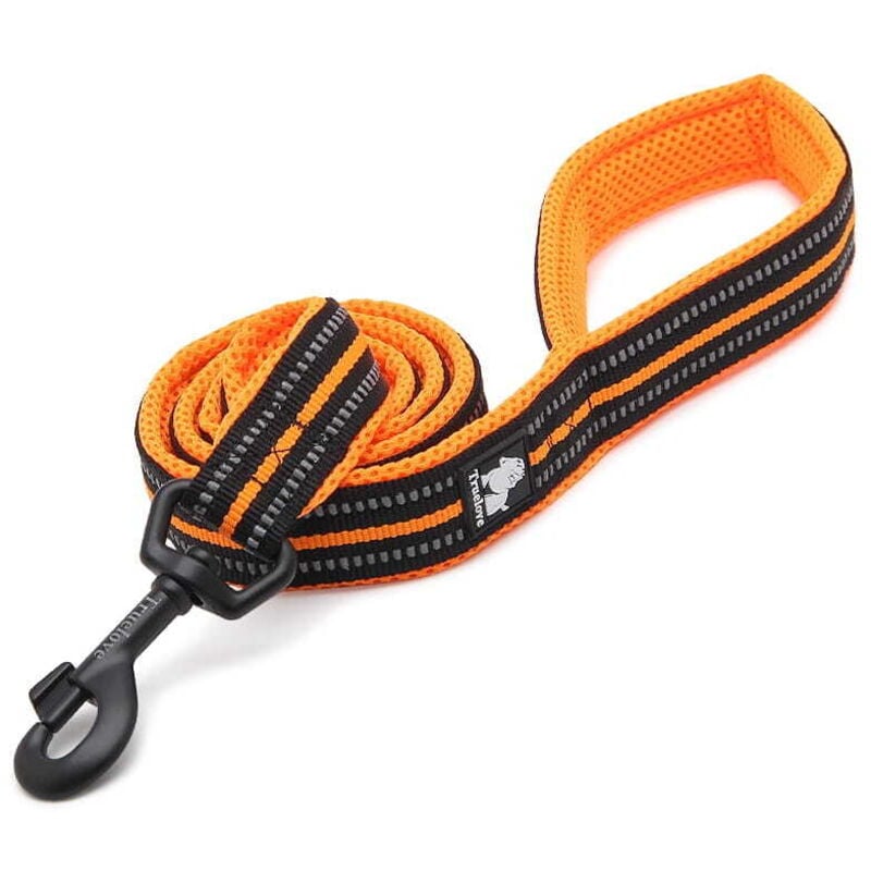 Active TrueLove Cityleine orange Breite auswählen: 2,5 cm