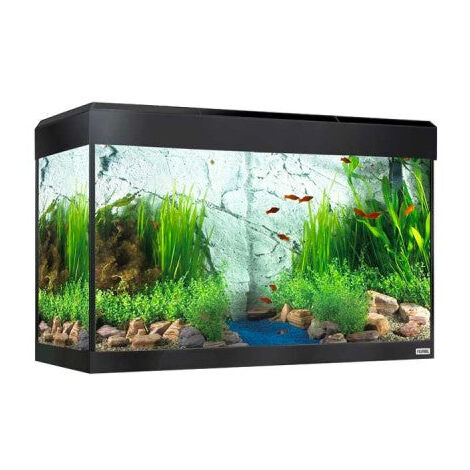 Acuario con iluminación LED bluetooth Fluval Roma de 125L