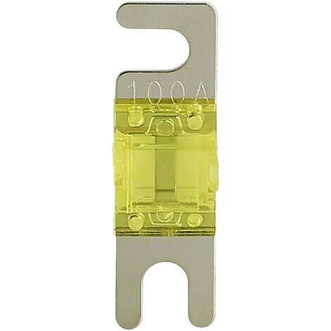 ACV Car-HiFi Glassicherung 100 A 4 St.