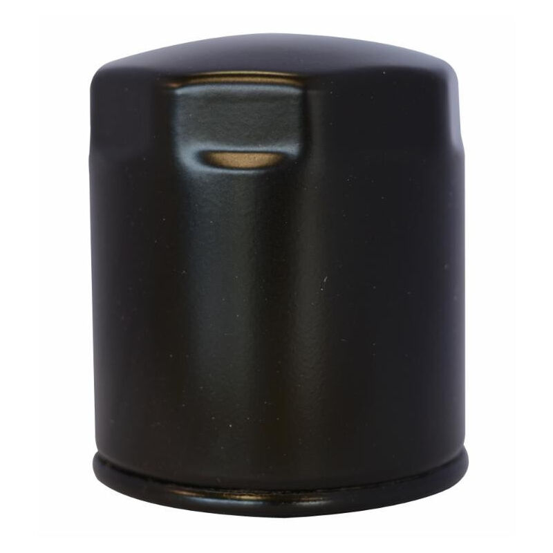 

Adaptable 2175.045 Cartucho filtrante de combustible diesel LOMBARDINI RUGGERINI
