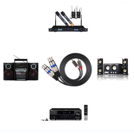 Adaptateur Audio Double Rangée RCA Mâle vers Double XLR Femelle Câble de Raccord PVC
