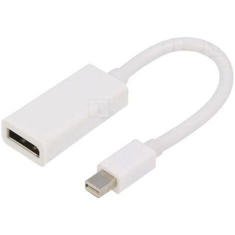 Adaptateur DisplayPort 1.1 DisplayPort femelle vers Mini DisplayPort prise male Full HD 0.15m blanc