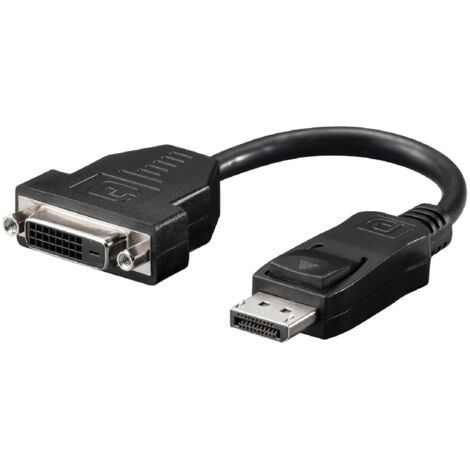 Adaptateur DisplayPort male vers DVI-D femelle 0.2m noir
