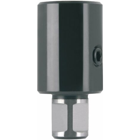 Adaptateur pour tarauds M22/24 avec tige Weldon 3/4"  Ruko 108199