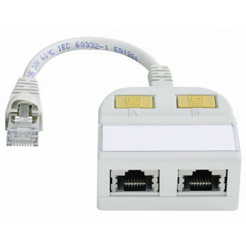 Adaptateur TELEGARTNER prise 2x RJ vers connecteurs RJ-45 0,15 m
