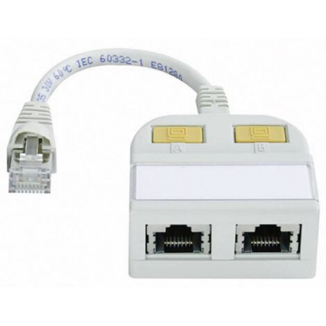 Adaptateur TELEGARTNER prise 2x RJ vers connecteurs RJ-45 0,15 m W70043