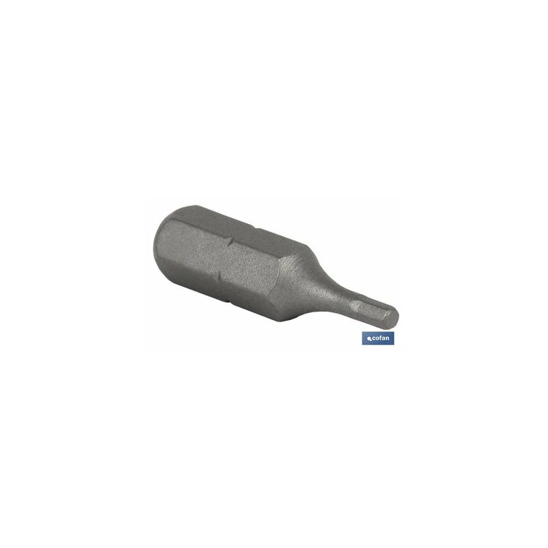Punta per cacciavite esagonale standard 2,5 50 mm