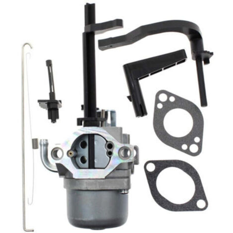 Adatto ai carburatori dei modelli 699958, 796321, 696132 e 696133, modello 591378. Adatto anche per generatori.