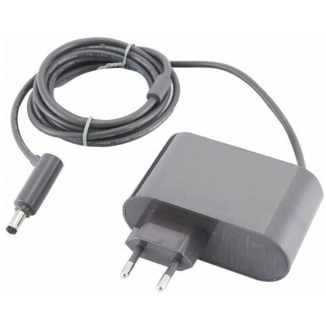 Adecuado para Dyson V6 V7 V8 DC58 DC59 DC61 DC62 SV03 SV04 SV05 SV06 SV07 Aspiradora Adaptador de CA Cargador