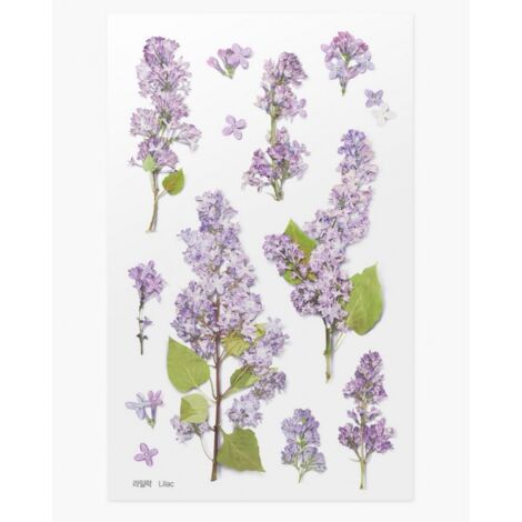 Adesivi decorativi a forma di fiore APPREE - Lilla e Lilla - per bullet journaling e scrapbooking