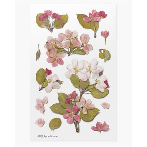 Adesivi decorativi a forma di fiore - Melo