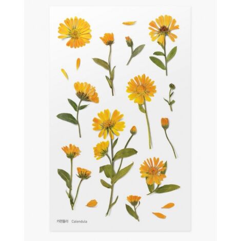 Adesivi decorativi APPREE a forma di fiore di calendula - per bullet journaling e scrapbooking