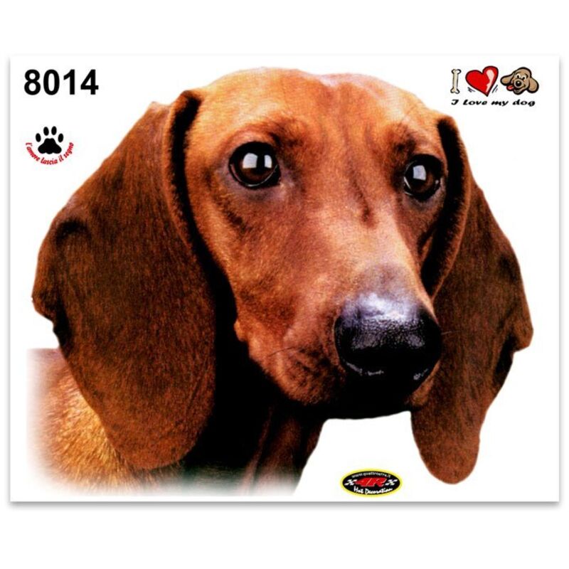 Adesivi Stickers Medi Cane Bassotto 13,5 x 16 cm