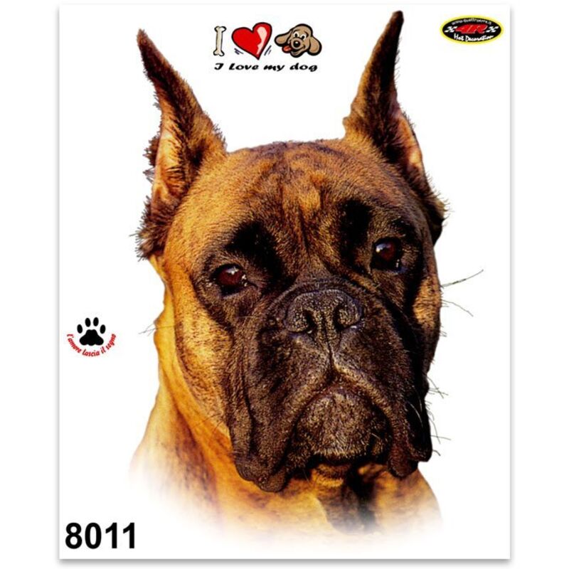 Adesivi Stickers Medi Cane Boxer 13,5 x 16 cm