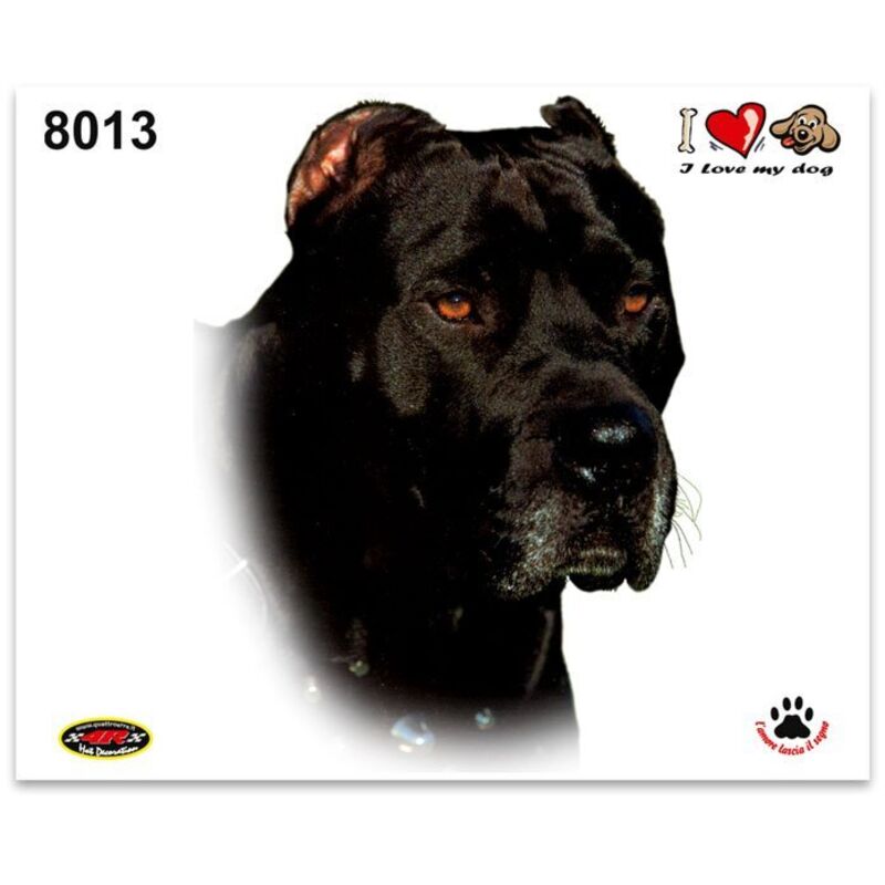 Adesivi Stickers Medi Cane Corso 13,5 x 16 cm