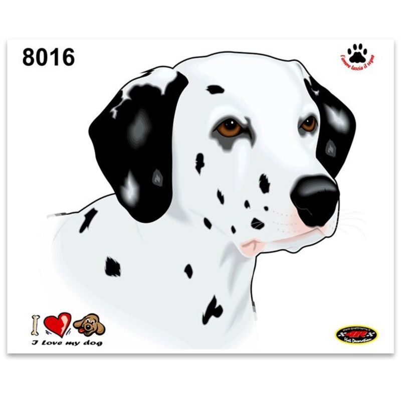 Adesivi Stickers Medi Cane Dalmata 13,5 x 16 cm
