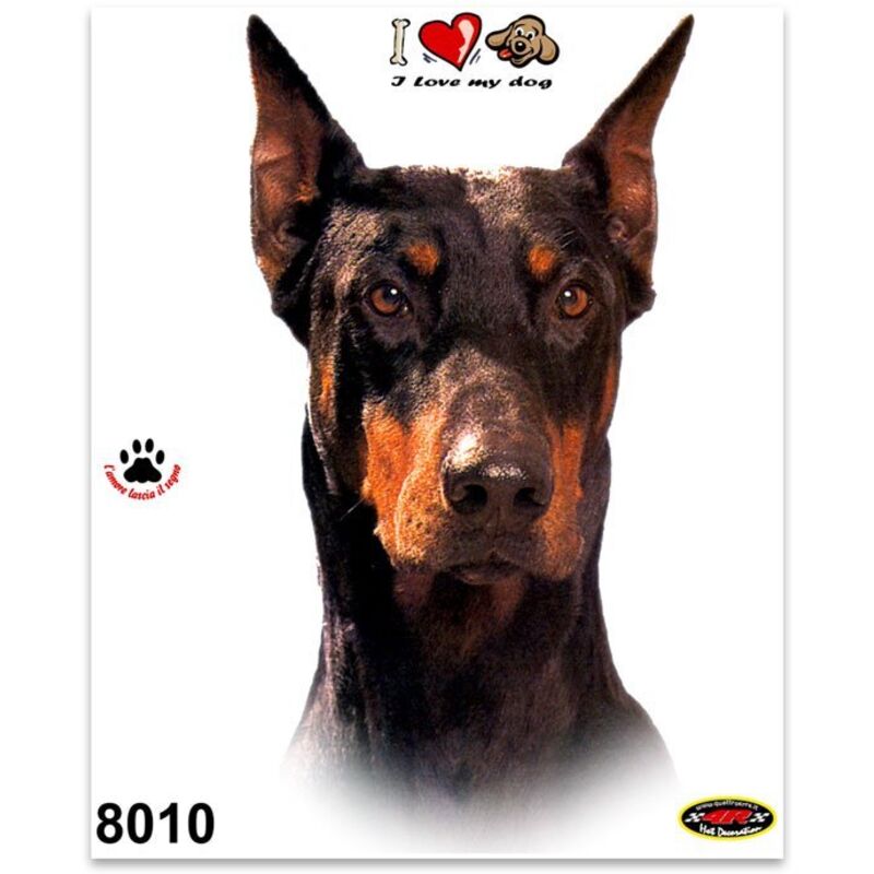 Adesivi Stickers Medi Cane Dobermann 13,5 x 16 cm