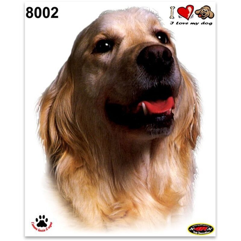 Adesivi Stickers Medi Cane Golden Retriever 13,5 x 16 cm