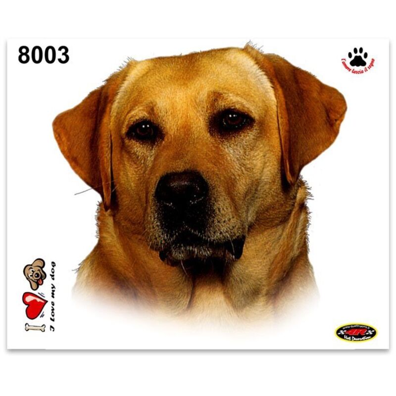 Adesivi Stickers Medi Cane Labrador 13,5 x 16 cm