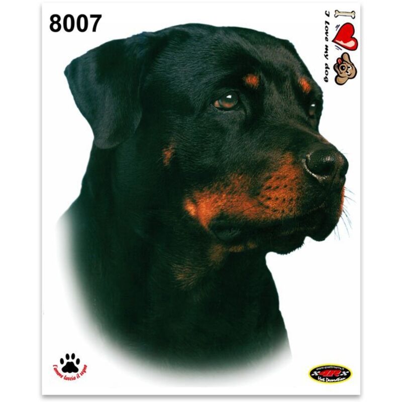 Adesivi Stickers Medi Cane Rottweiler 13,5 x 16 cm