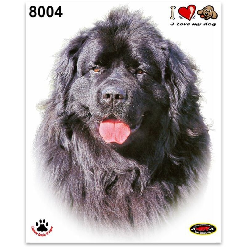 Adesivi Stickers Medi Cane Terranova 13,5 x 16 cm