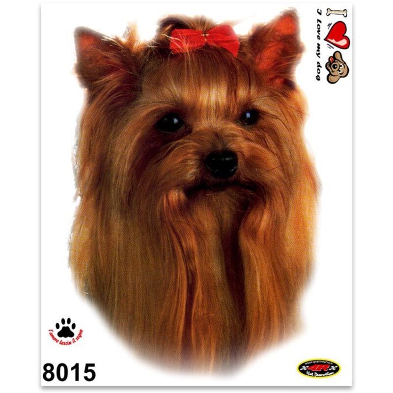 Adesivi Stickers Medi Cane Yorkshire Terrier 13,5 x 16 cm